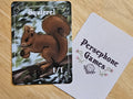 Illustrated 1/1 Squirrel token card featuring brown squirrel holding an acorn sitting on a tree branch